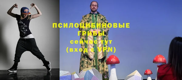 ECSTASY Алексин