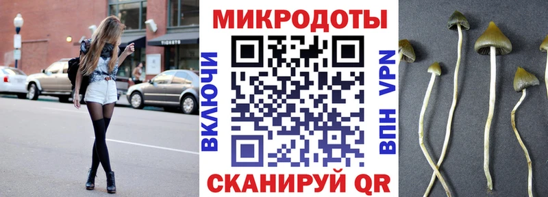 Псилоцибиновые грибы мухоморы  Ессентукская 